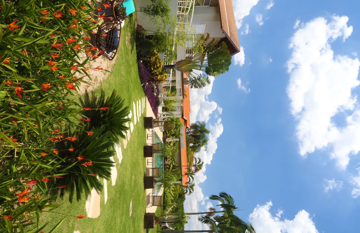 Jardim residencial com piscina e vegetação tropical