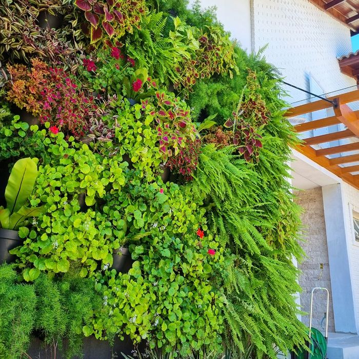 Detalhe de parede verde