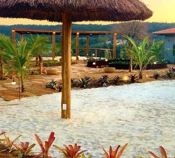 Vaso azul com dracena em deck